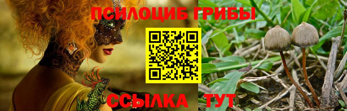 Усть-Джегута  Галлюциногенные грибы GOLDEN TEACHER  Галлюциногенные грибы Psilocybe  где продают   Вход с VPN 